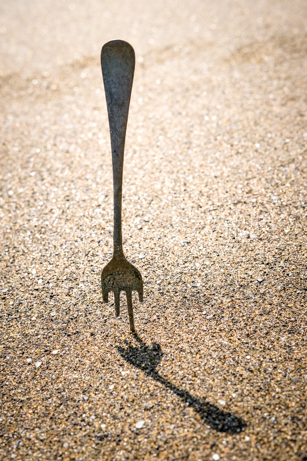 Old fork in the sand on East Cliff Beach, Lyme Regis 29_03_21 2